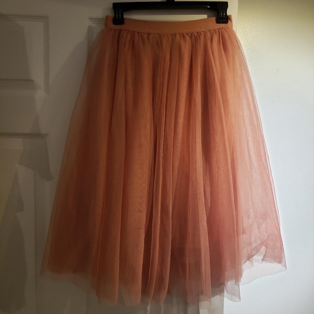 Tulle Skirt